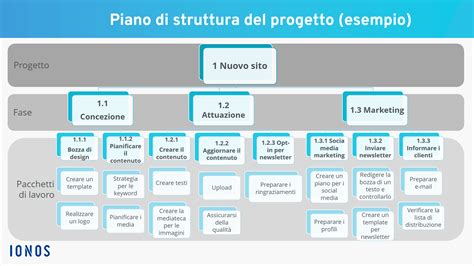 Struttura di un piano di studi universitario