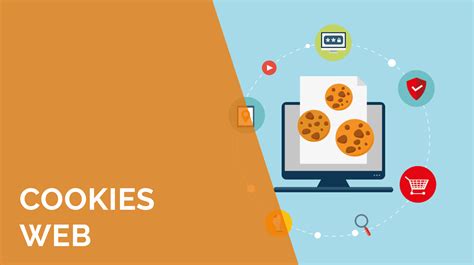 Infografica tipi di cookie web