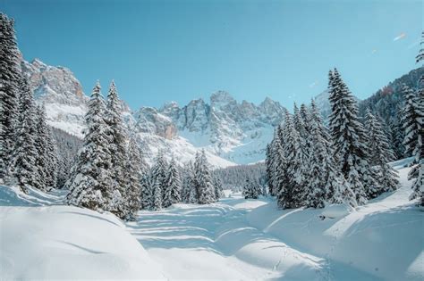 Toyota RAV4 in un ambiente montano innevato