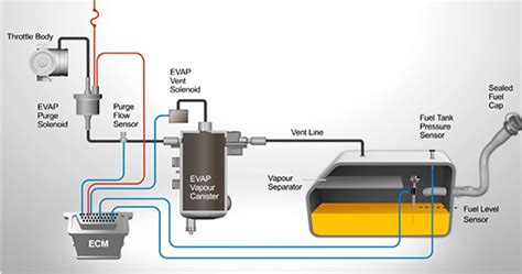 Schema del sistema EVAP