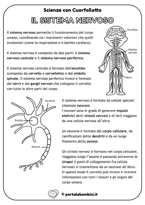 Schema del sistema e-Boxer Subaru