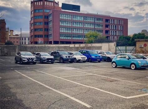 Ampio parcheggio con una varietà di auto nuove esposte, rappresentanti diversi marchi