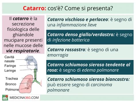 Infografica che illustra i diversi colori del catarro e le possibili cause
