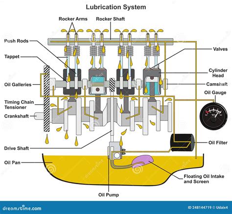 Schema funzionale del sistema di lubrificazione del motore e il tendicatena