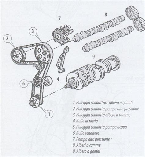 Diagramma che mostra la cinghia di distribuzione e i componenti collegati (tendicinghia, rulli, pompa acqua)