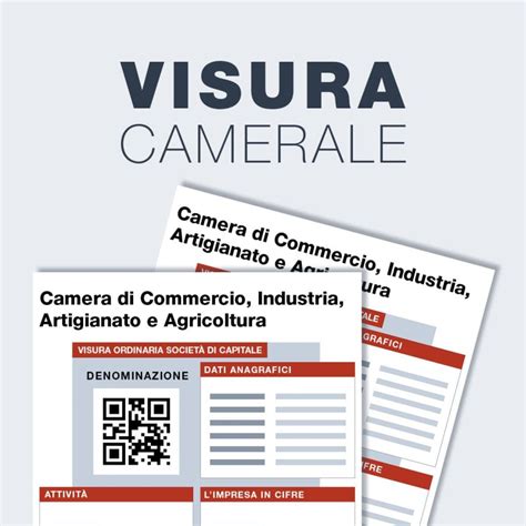 Computer con schermata di visura bolli