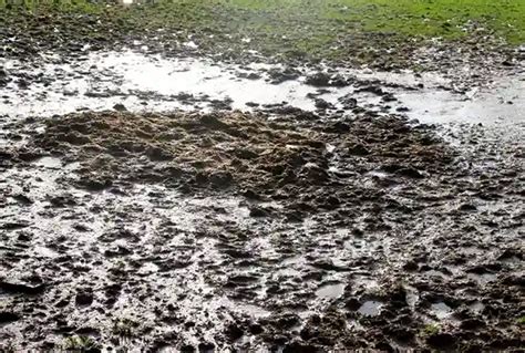 Subaru XV che attraversa un guado o un terreno fangoso