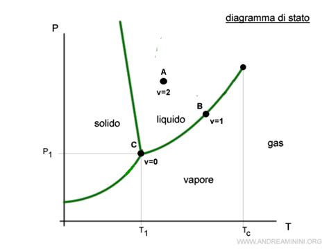 Diagramma delle fasi di raccolta e conservazione della cipolla