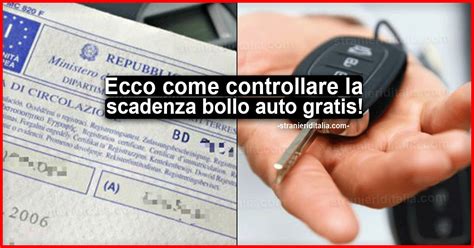 Infografica sulla scadenza del bollo auto
