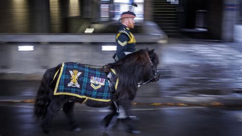 Nuovo Pony