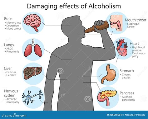 Diagramma che mostra gli effetti dell'alcol sul corpo umano e sulla capacità di guida in base al tasso alcolemico
