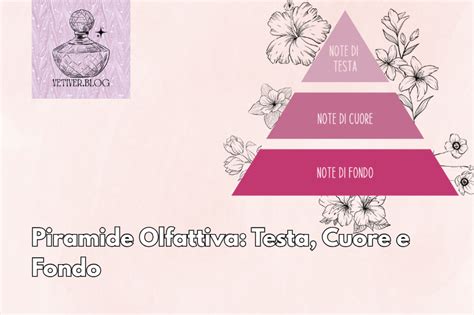 Schema che illustra le fasi di un profumo: note di testa, cuore e fondo