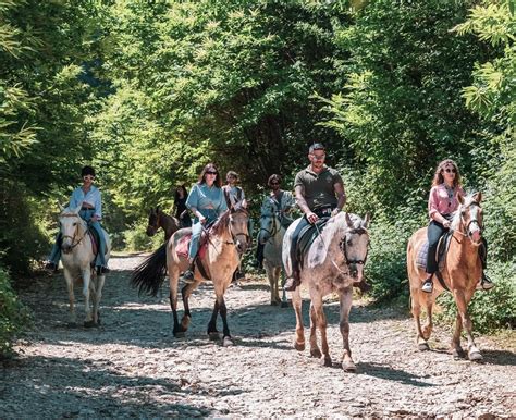 Carabiniere a cavallo nel bosco