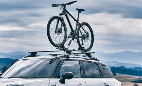 Auto con portabici sul tetto