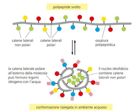 Interazione molecolare tra gomma e asfalto