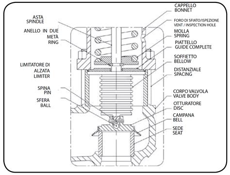 Schema di un pneumatico con le sue componenti