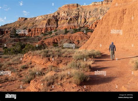 Veicolo 4x4 che percorre un sentiero sterrato