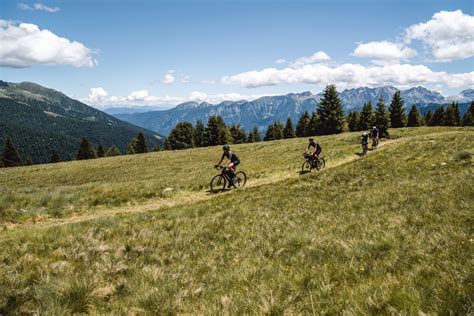 Gruppo di ciclisti su e-bike nel paesaggio trevigiano