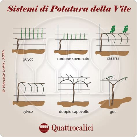 Schema che mostra i vantaggi della potatura in altezza con attrezzi su asta rispetto all'uso di scale