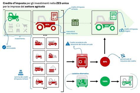 Infografica sul funzionamento del decarbonizzatore auto