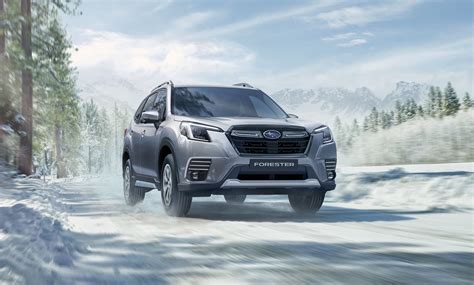Modello Subaru Forester in ambiente naturale montano