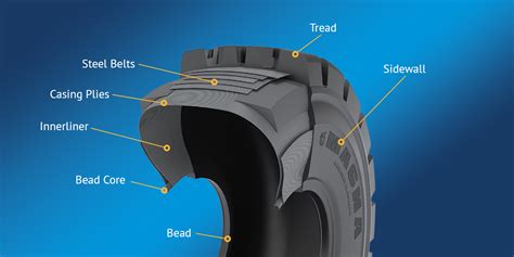 Diagram of a tire's internal structure