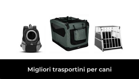 Trasportino per cani in auto