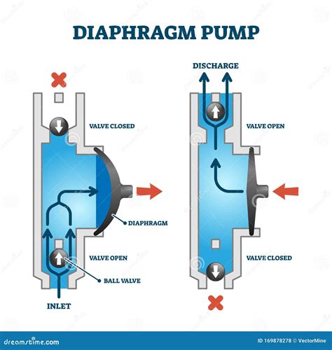 Schema funzionamento pompa pneumatica a membrana