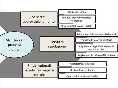 Diagramma dei servizi offerti dai gommisti