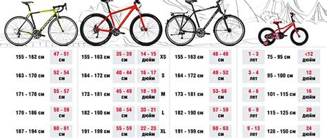 Tabelle comparative delle dimensioni delle ruote MTB (26
