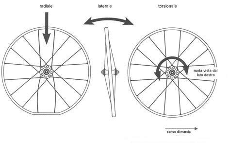 Schema che illustra le forze che agiscono su un cuscinetto ruota in curva