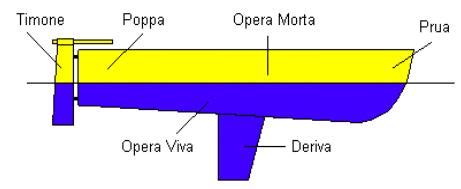 Opera viva di una barca coperta di alghe