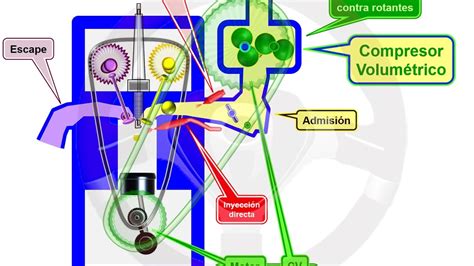 Schema del ciclo Miller