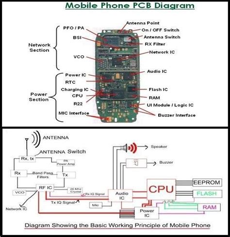 Schema delle componenti audio di un iPhone