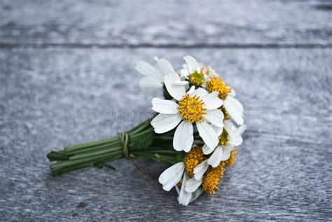 Un mazzo di margherite fresche