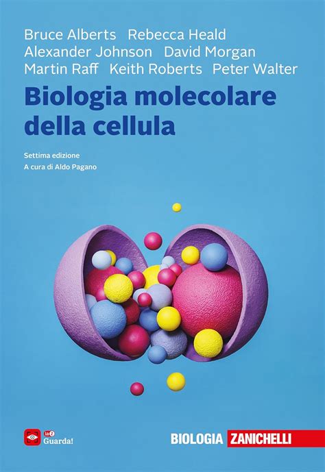 Diagramma molecolare della paraffina