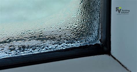 Vetri dell'auto con condensa interna