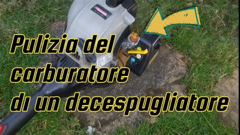 Schema di manutenzione periodica per decespugliatore