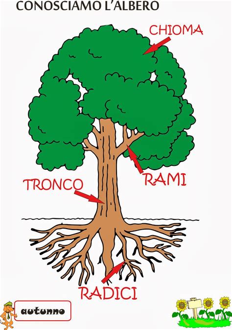 Diagramma di un albero a camme con le sue parti
