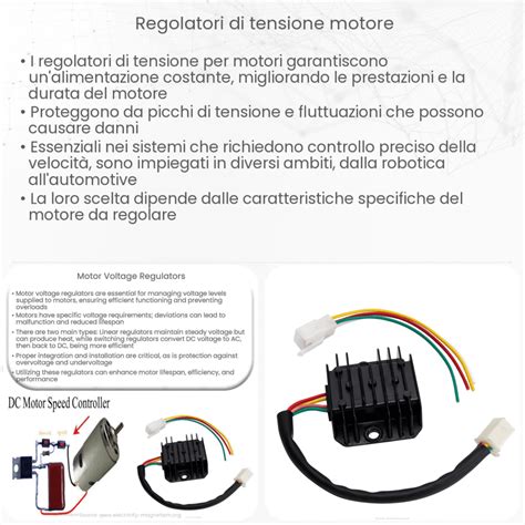 Regolatore elettronico della pompa benzina disassemblato e i suoi componenti interni