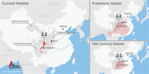 Mappa delle principali regioni di habitat del panda gigante in Cina