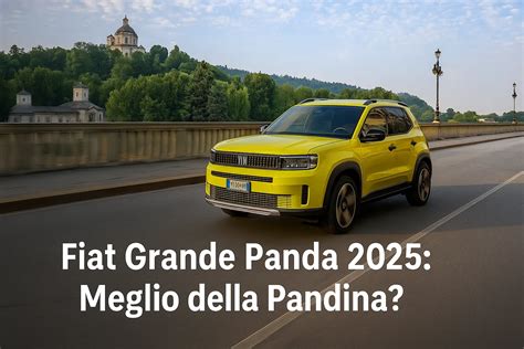 Grafico comparativo consumi Fiat Panda Multijet vs benzina