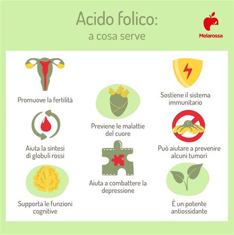Importanza dell'acido folico in gravidanza