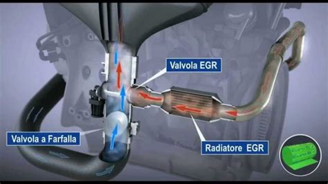 Componenti di una valvola EGR