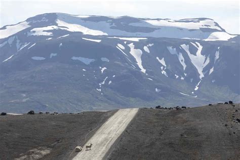 Strada sterrata islandese con un veicolo 4x4