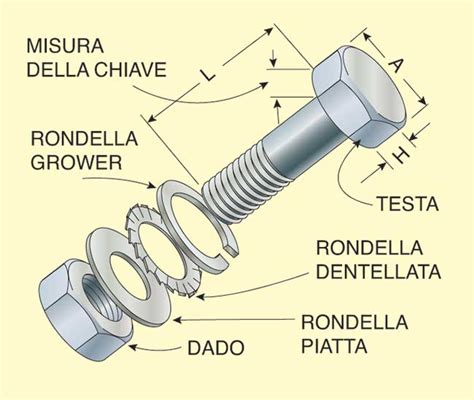 Illustrazione di vari bulloni e dadi automobilistici