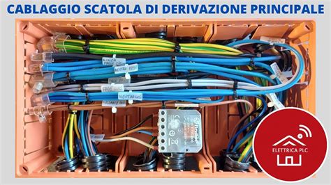 Esempio di cablaggio con isolamento danneggiato