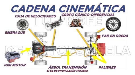 Diagramma della catena cinematica di una BMW E46 con differenziale posteriore