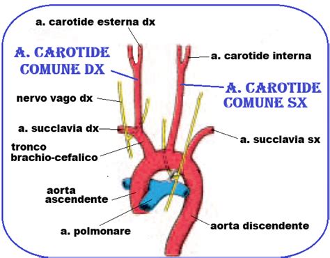 Wastegate interna ed esterna