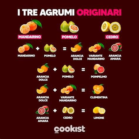 Origine degli agrumi